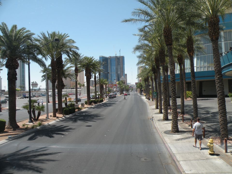 Street view down the Las Vegas Strip with palm trees and buildings