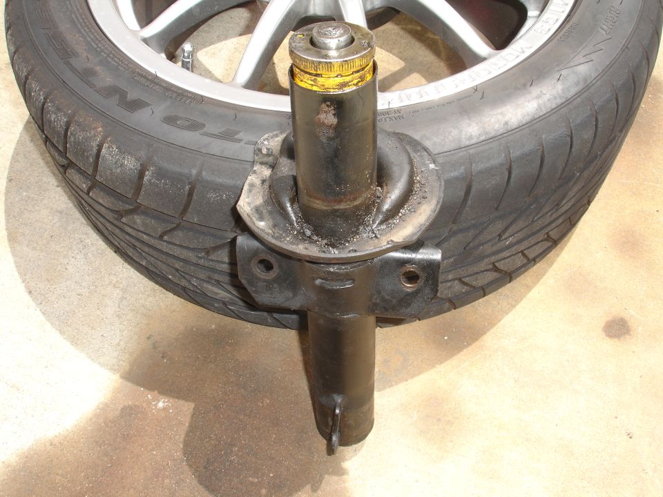 Strut assembly mounted on a tire