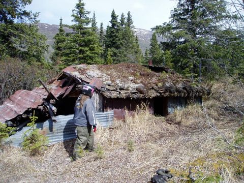 2000 Ford E350 - Abandoned cabin with a moss-covered roof and rusted metal siding, surrounded by trees.