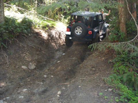 2005 Jeep Wrangler - A Jeep Wrangler navigates a steep, muddy path through a dense forest.