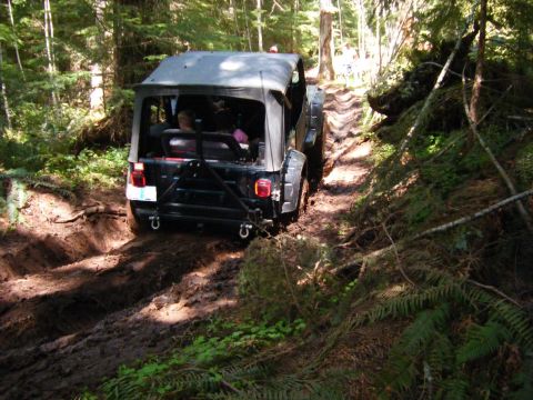 2005 Jeep Wrangler - A Jeep navigates a challenging muddy path through a dense forest.