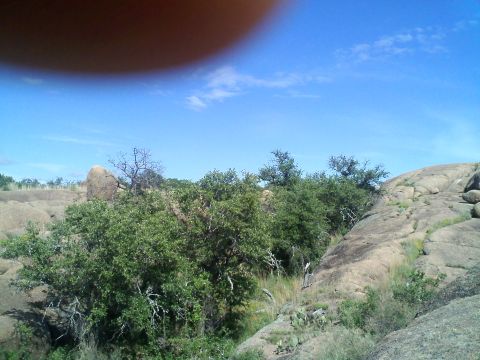1995 Ford Bronco - A natural landscape scene with rocks and vegetation under a clear blue sky.