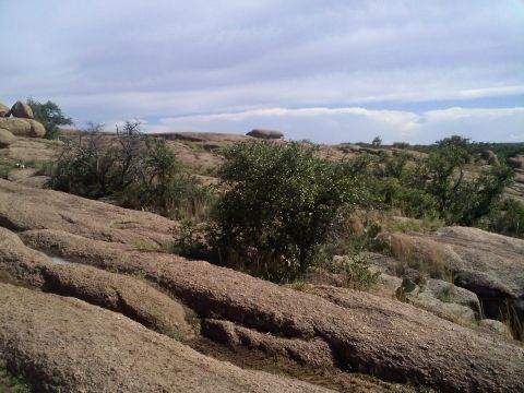 1995 Ford Bronco - A lone SUV is visible in the distance on a rocky, arid landscape with scattered bushes and a cloudy sky.