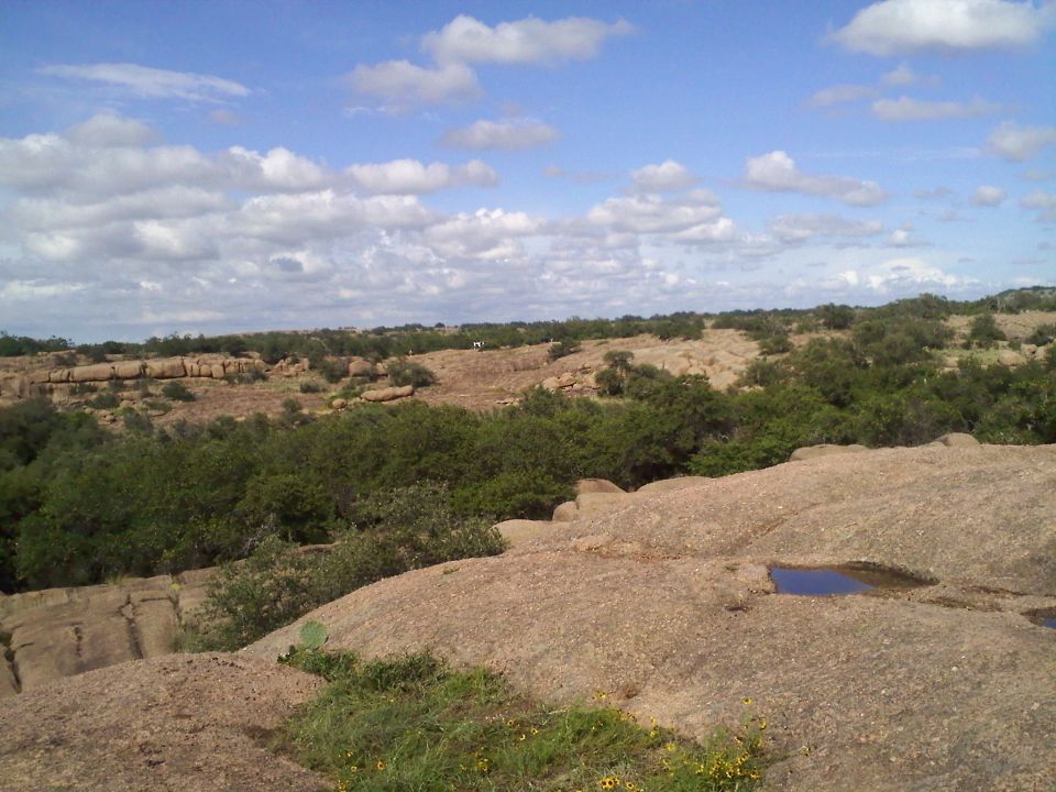 rocky terrain with sparse vegetation under a cloudy sky. A small puddle reflects the sky
