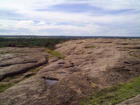 1995 Ford Bronco - A wide view of a rocky terrain with puddles, overlooking a treeline under a cloudy sky.