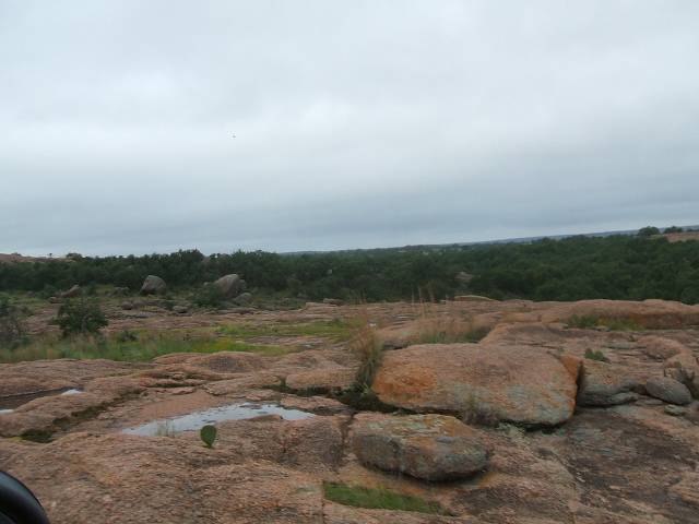 Rocky terrain with scattered vegetation under an overcast sky. A small cactus is visible