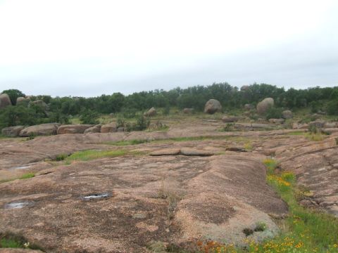 1995 Ford Bronco - A wide view of a natural landscape large rocks, sparse vegetation, and a distant tree line under an overcast sky.