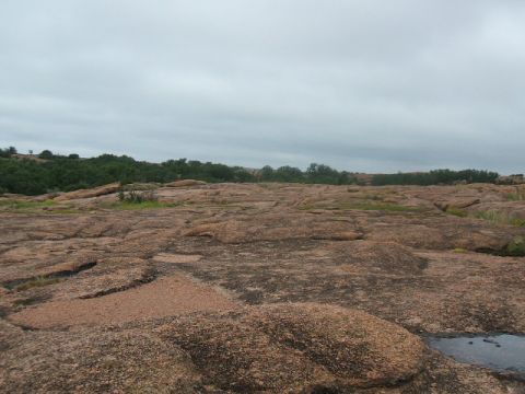 1995 Ford Bronco - A wide shot of a rocky terrain with scattered trees under a cloudy sky. The Supermotors.net logo is visible in the lower right corner.