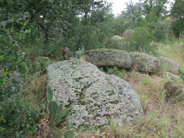 Rocky landscape with cacti and trees, Supermotors.net logo in corner