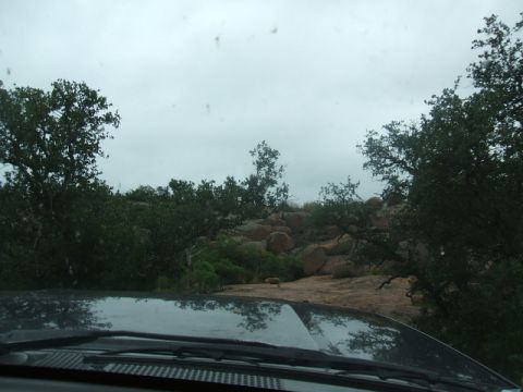 1995 Ford Bronco - Driving through a , natural environment with trees and large rocks.