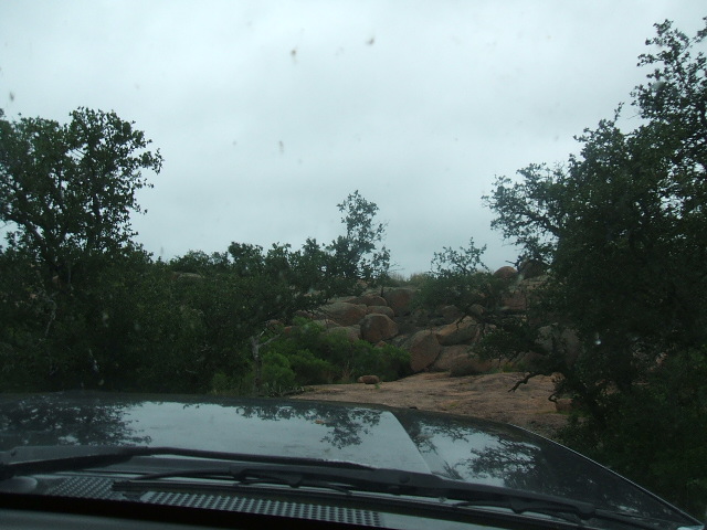 View from inside a vehicle looking out at a rocky, tree-filled landscape under an overcast sky