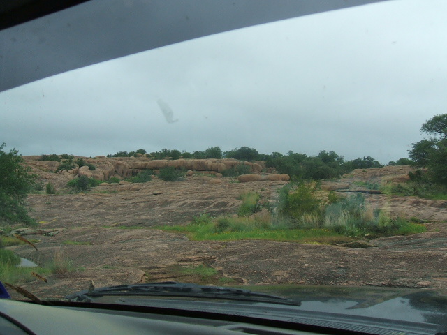 View from inside a vehicle looking out at a rocky, uneven terrain with scattered green bushes and trees under an overcast sky