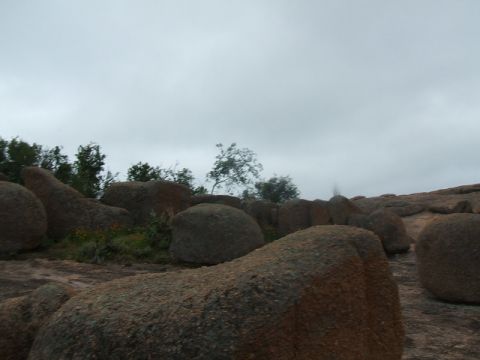 1995 Ford Bronco - A natural scene of large rocks and trees under an overcast sky, with a Supermotors watermark at the bottom right.