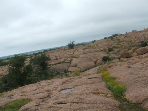 1995 Ford Bronco - A scenic view of a rocky terrain dotted with trees and a line of yellow wildflowers, under an overcast sky.