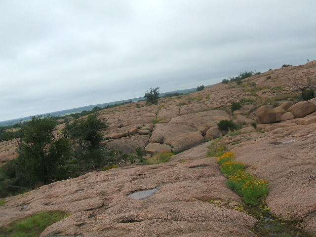 Rocky landscape with scattered trees and yellow flowers under a cloudy sky