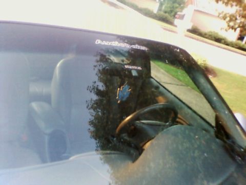 1998 Ford Taurus - Interior view of a car with a sticker on the windshield and a visible steering wheel.