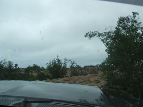1995 Ford Bronco - Driving through a , dry landscape under an overcast sky.