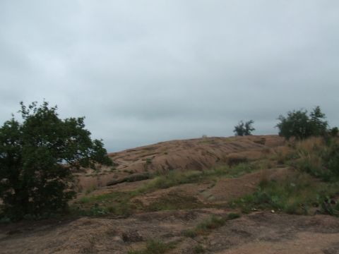 1995 Ford Bronco - A cloudy day over a rocky, uneven terrain with scattered trees and vegetation.