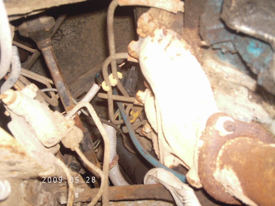 Close-up of engine bay with various hoses, wires, and metal parts visible