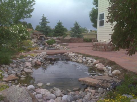 1986 Ford Bronco - A backyard features a pond and waterfall, with a stone patio and house in the background.