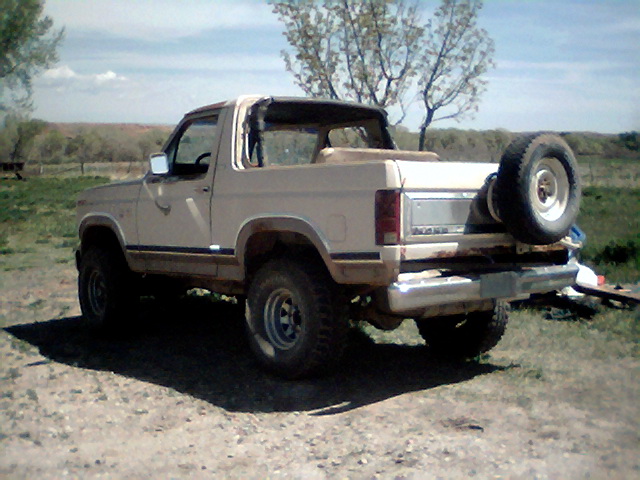 Tan 1981 Ford Bronco, rear view, with spare tire on tailgate