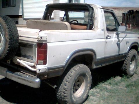 1981 Ford Bronco - This 1981 Ford Bronco features a removable top and a rear-mounted spare tire, captured in a three-quarter rear view.