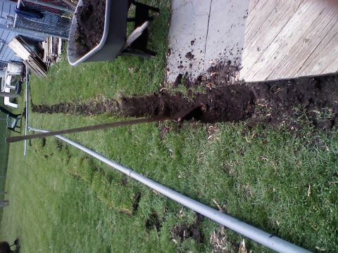1979 Ford Bronco - A trench is being dug in a grassy yard, with a wheelbarrow full of dirt and a shovel nearby.