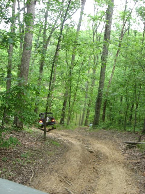 1987 Suzuki Samurai - A dark SUV navigates a wooded trail, with lush green trees surrounding the path.