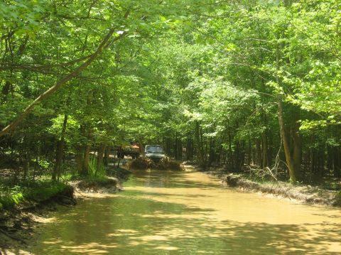 1987 Suzuki Samurai - Off-road vehicles navigate a muddy waterway surrounded by lush green trees.