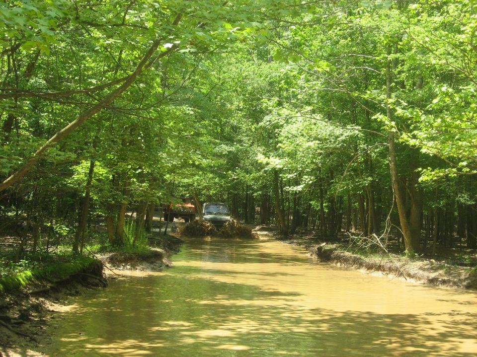 Two off-road vehicles splashing through a muddy stream in a dense forest