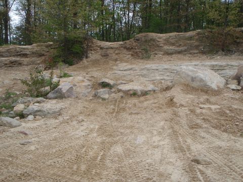 1996 Ford Bronco - Tire tracks mark a sandy path through a rocky, wooded area.