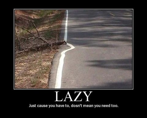 1988 Ford Bronco - A humorous meme about laziness, a road with a fallen branch and a poorly painted white line.