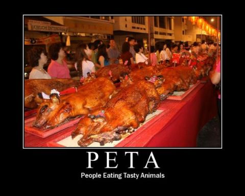 1988 Ford Bronco - A row of whole roasted pigs are presented on a table at a food stall.