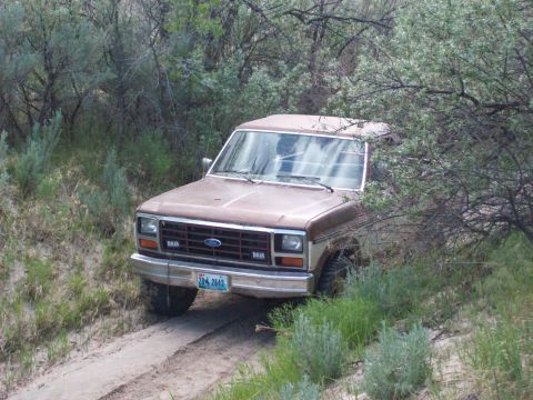 1985 Ford Bronco - A brown Ford Bronco navigates a dirt path surrounded by dense vegetation.