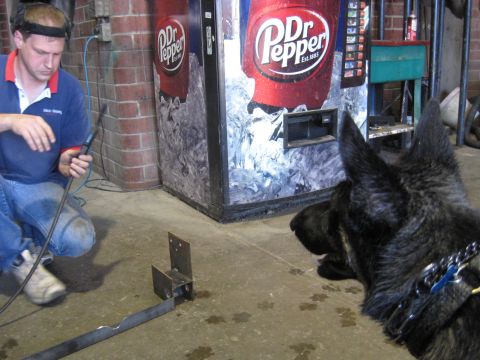 1978 Ford Bronco - A man is welding metal in a workshop, with a dog observing the process near a Dr Pepper vending machine.