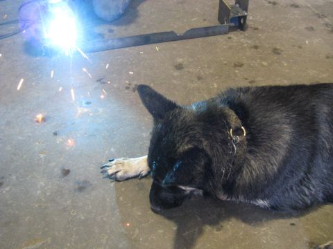 1978 Ford Bronco - A dog lies on a concrete floor as welding sparks fly nearby, with metal parts in the background.