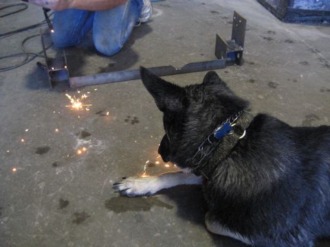 1978 Ford Bronco - A dog watches intently as metal is being welded, with sparks illuminating the concrete floor.