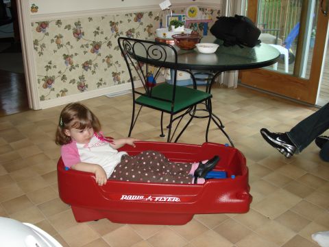 2000 Ford Crown Victoria - Child relaxes in a red wagon inside a home.