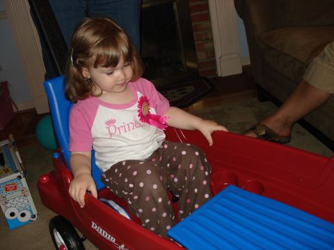 2000 Ford Crown Victoria - A young child sits in a red wagon, looking down with interest at something outside the frame.