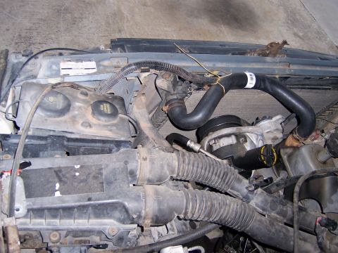 1991 Ford Bronco - Close-up view of the engine bay, focusing on the cooling system components and hoses.