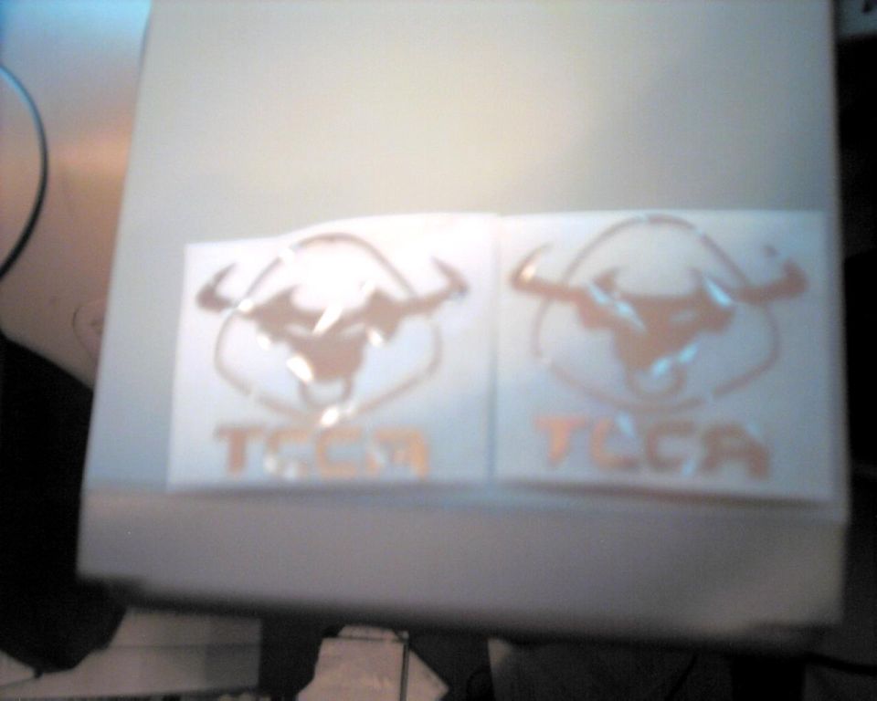 Two decals showing a bull's head and the word 'TAURUS' in copper lettering