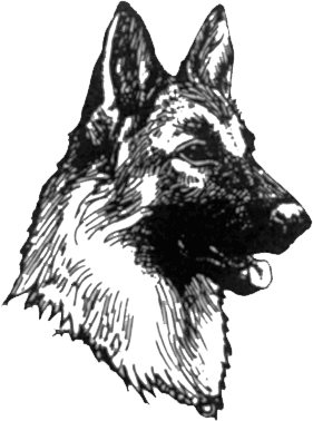 1991 Ford LTD Crown Victoria - Illustration of a German Shepherd dog's head in profile.