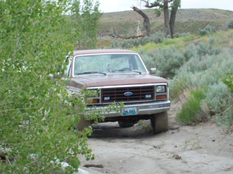 1985 Ford Bronco - This brown Ford Bronco appears to be from the early 1980s, not a 1985 model as claimed.