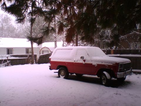 1981 Ford Bronco - Covered in snow.