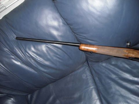1991 Ford Bronco - A rifle with a wooden stock is placed on a blue leather couch.