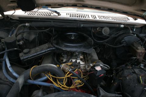 1984 Ford Bronco photo