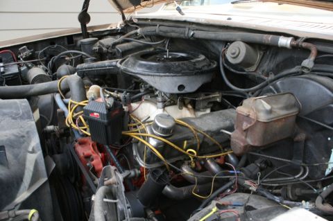 1984 Ford Bronco photo
