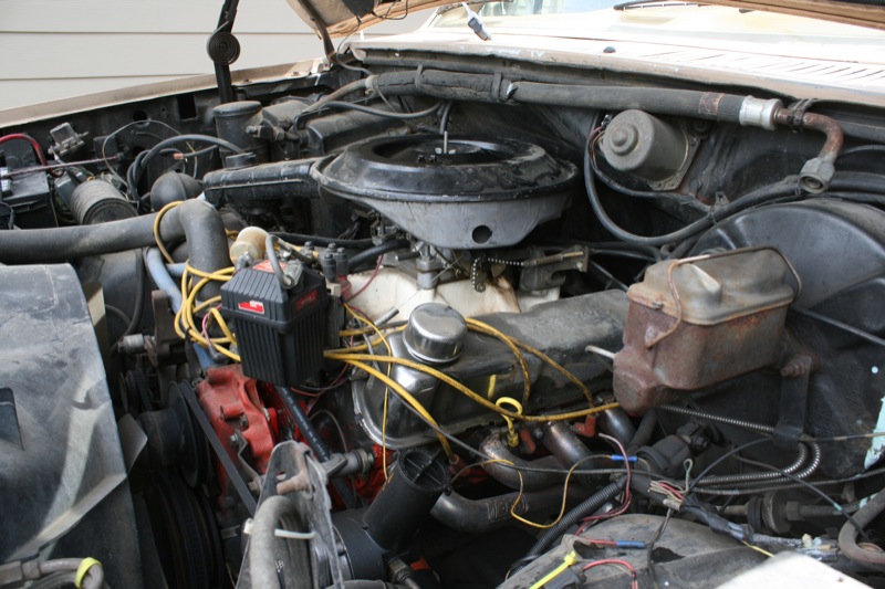 Engine bay with V8 engine, air cleaner, distributor, and brake fluid reservoir