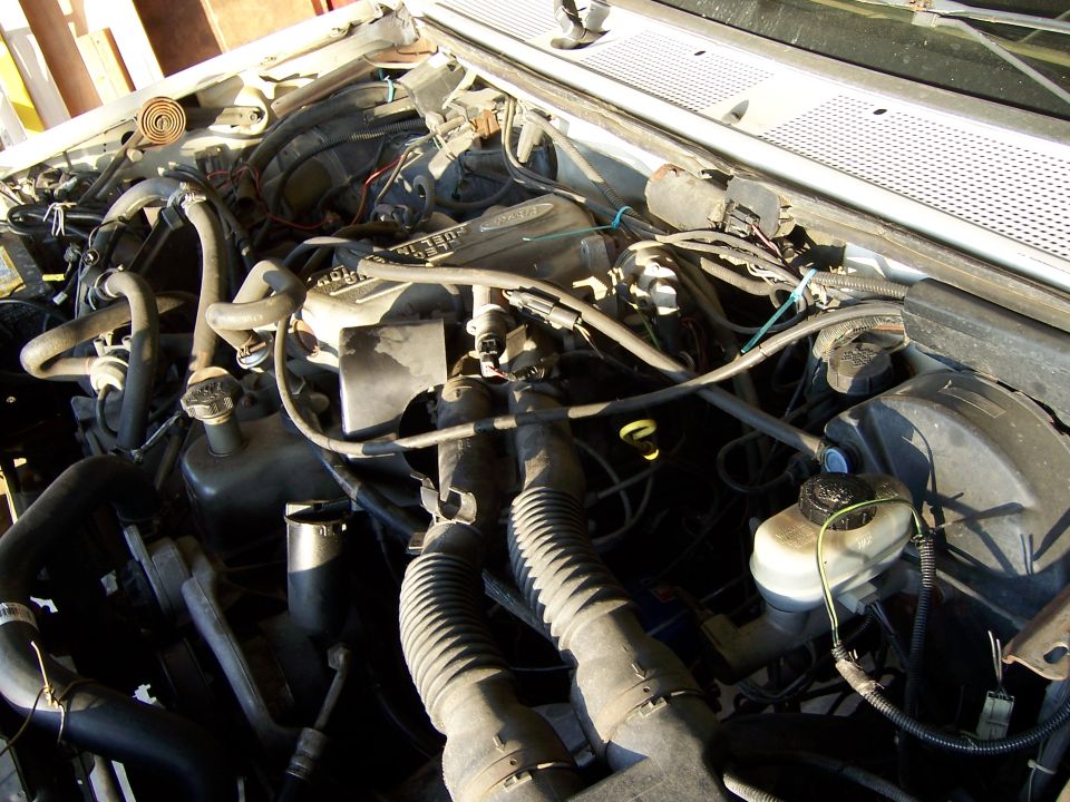 Engine bay with hoses and wiring