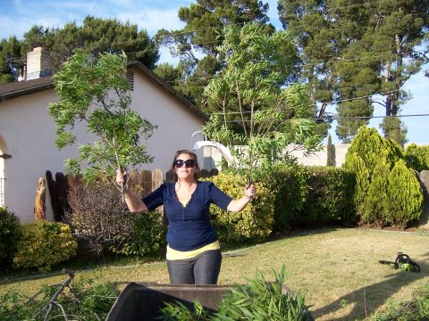 1991 Ford Bronco - A woman stands in a grassy yard holding branches, with a house and trees in the background.